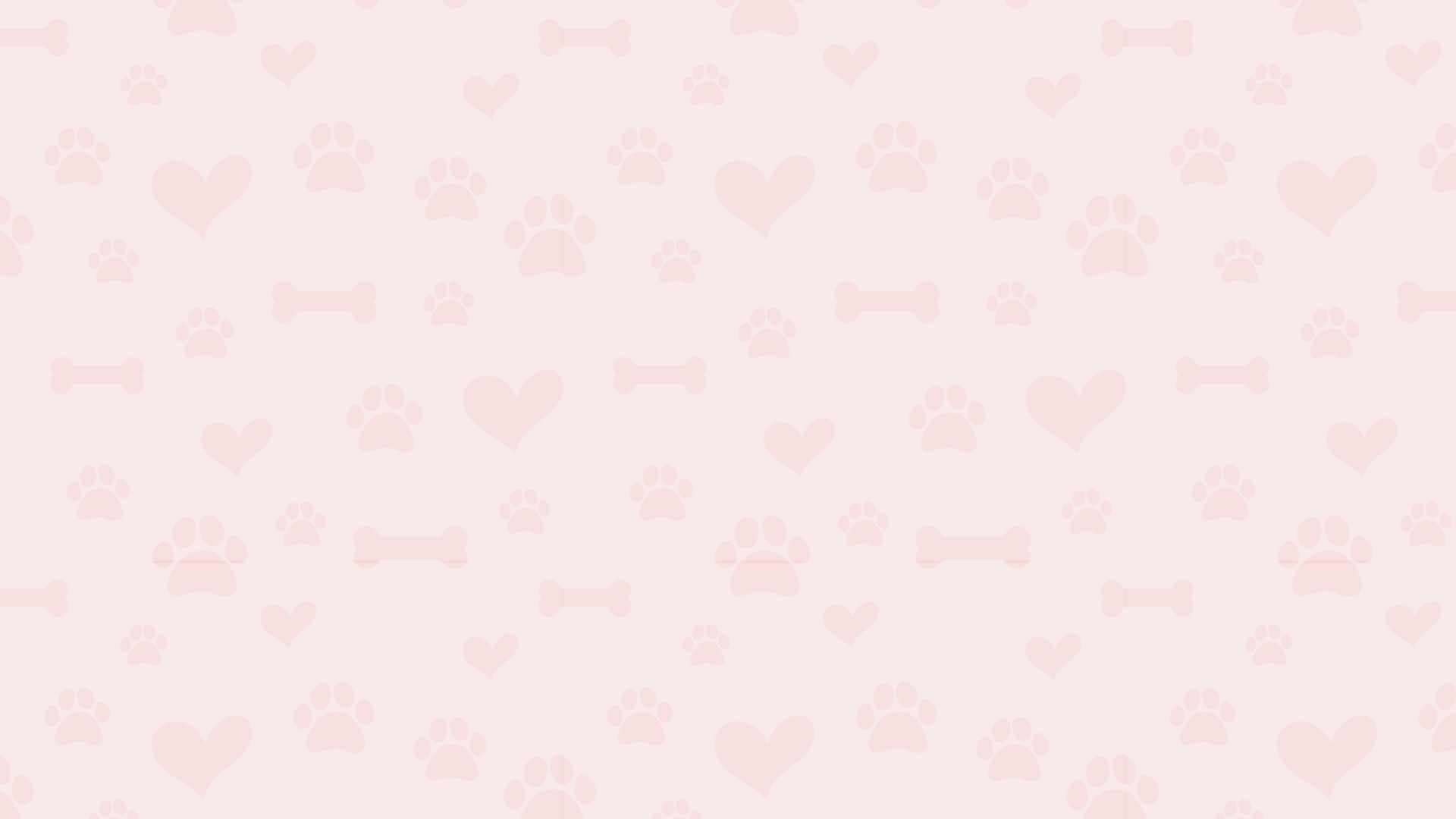 大型犬にも対応した
施術環境を
丁寧にご用意